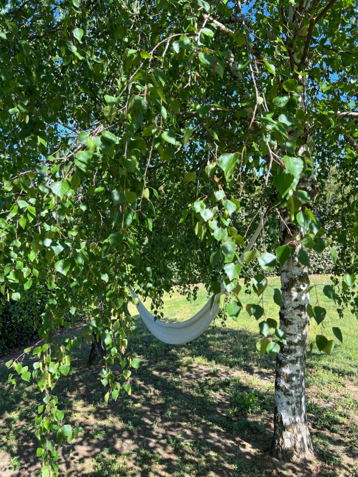 Bed and Breakfast Cascina Il Volo Moncalvo Exterior foto